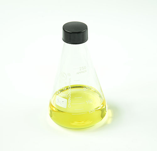 Evening Primrose Oil