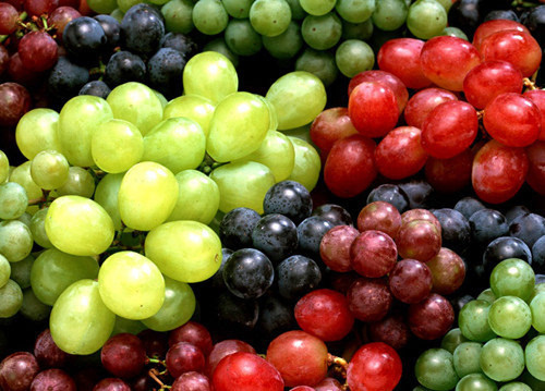 chitosan oligosaccharide for prevention of grape downy mildew