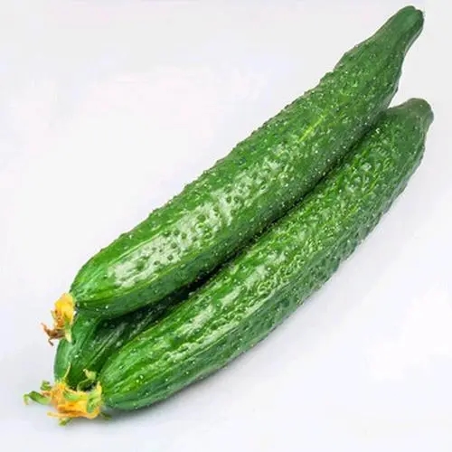 Effects of Chitooligosaccharides on Seed Germination of Cucumber