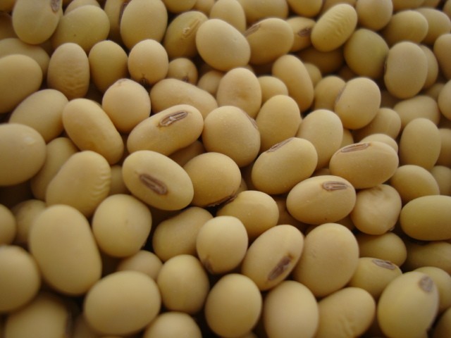 Chitosan raise soybean yield